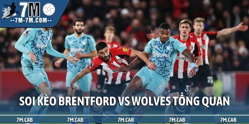 Soi kèo Brentford vs Wolves tổng quan